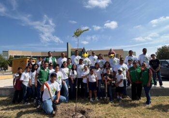 MEGA REFORESTACIÓN 2026